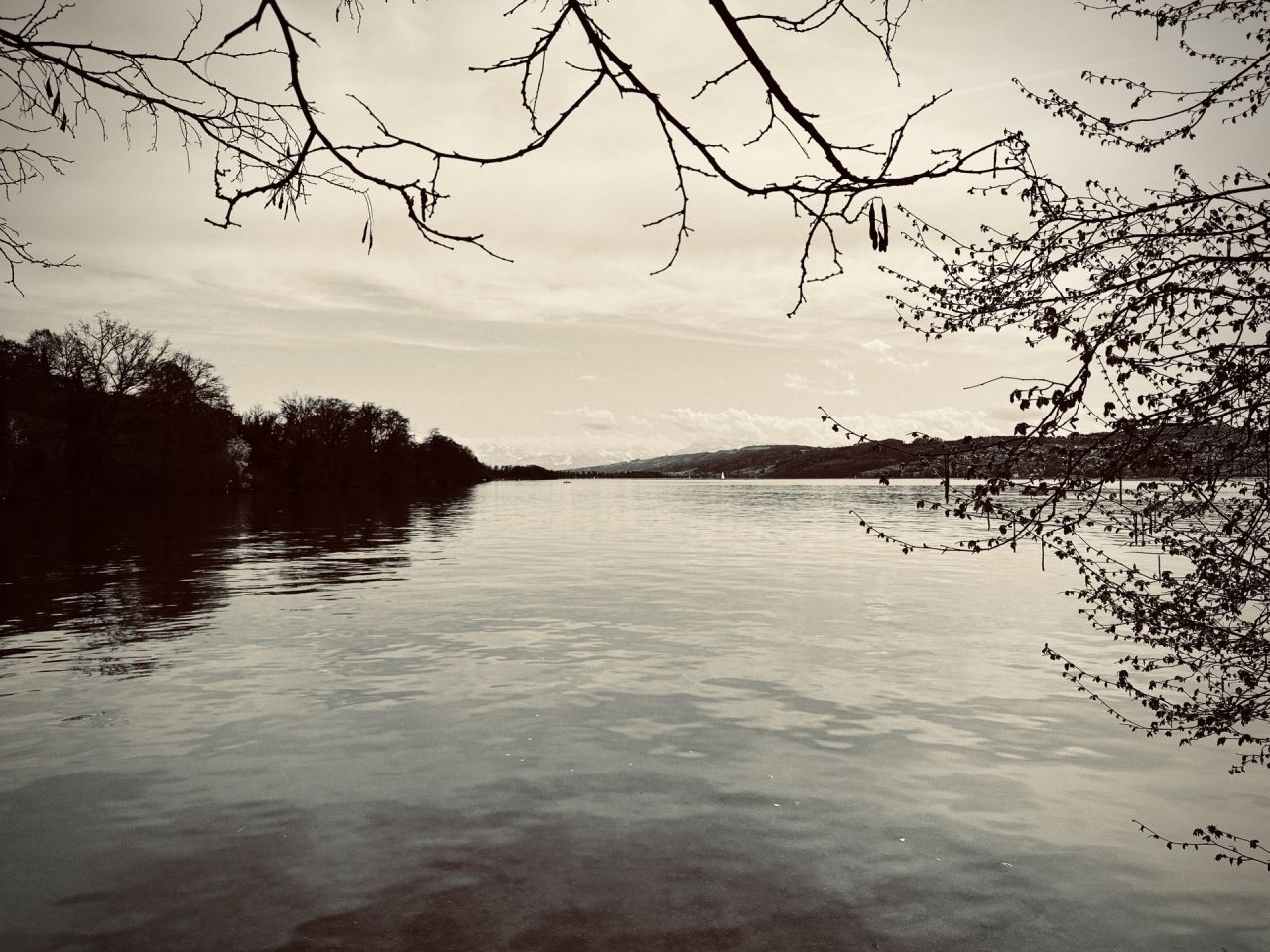 Tolle Stimmung am See eingefangen und mal wieder ein Foto mit der 1HourPhoto App gemacht.