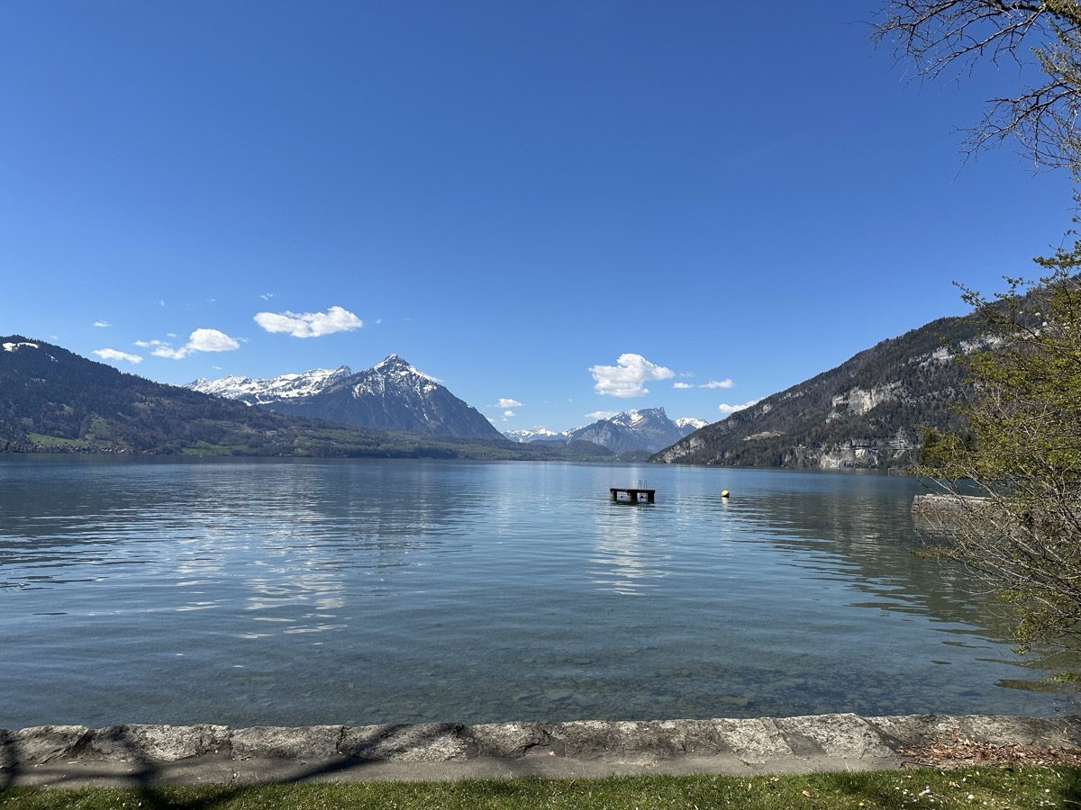 Der Thunersee bei Sonnenschein mit Bergen im Hintergrund