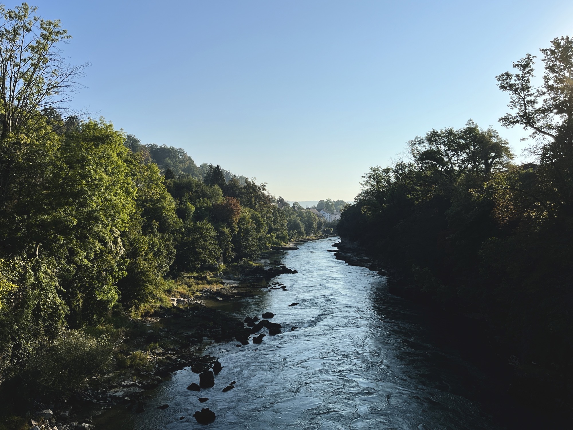 Die Aare bei tiefstehender Sonne.