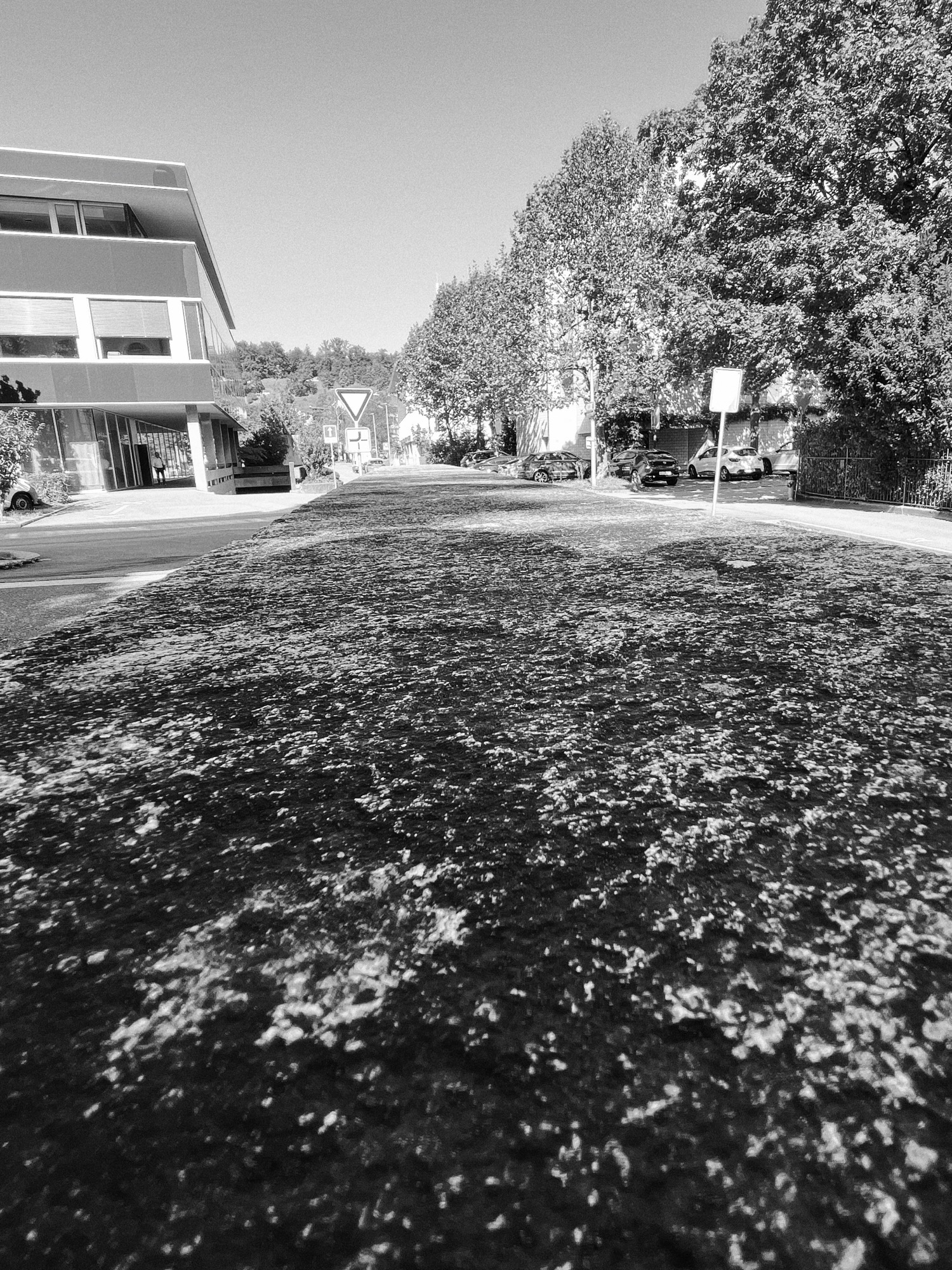 Blick über eine Mauer hinweg.