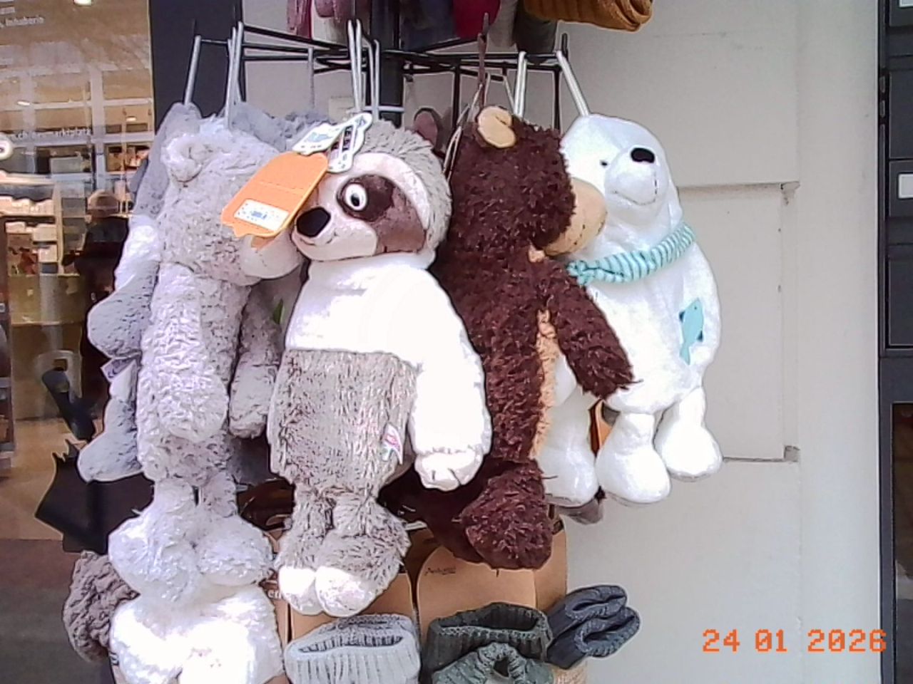 Bild ohne Beschreibung