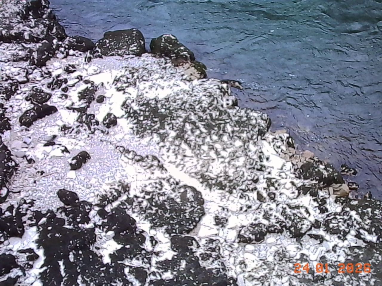 Bild ohne Beschreibung