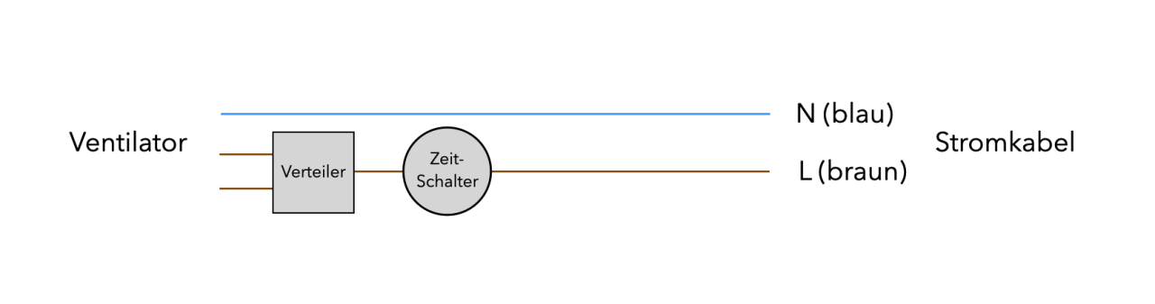 Schema ohne Shelly